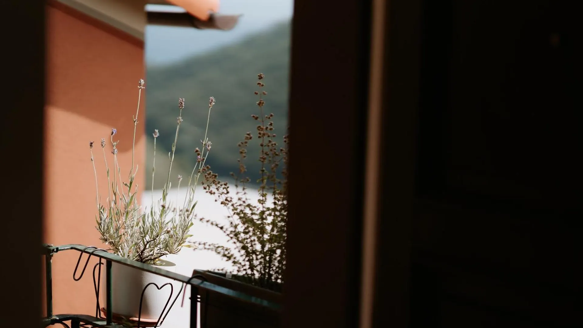 Il Castagno Holiday Home Teriasca Appartamento